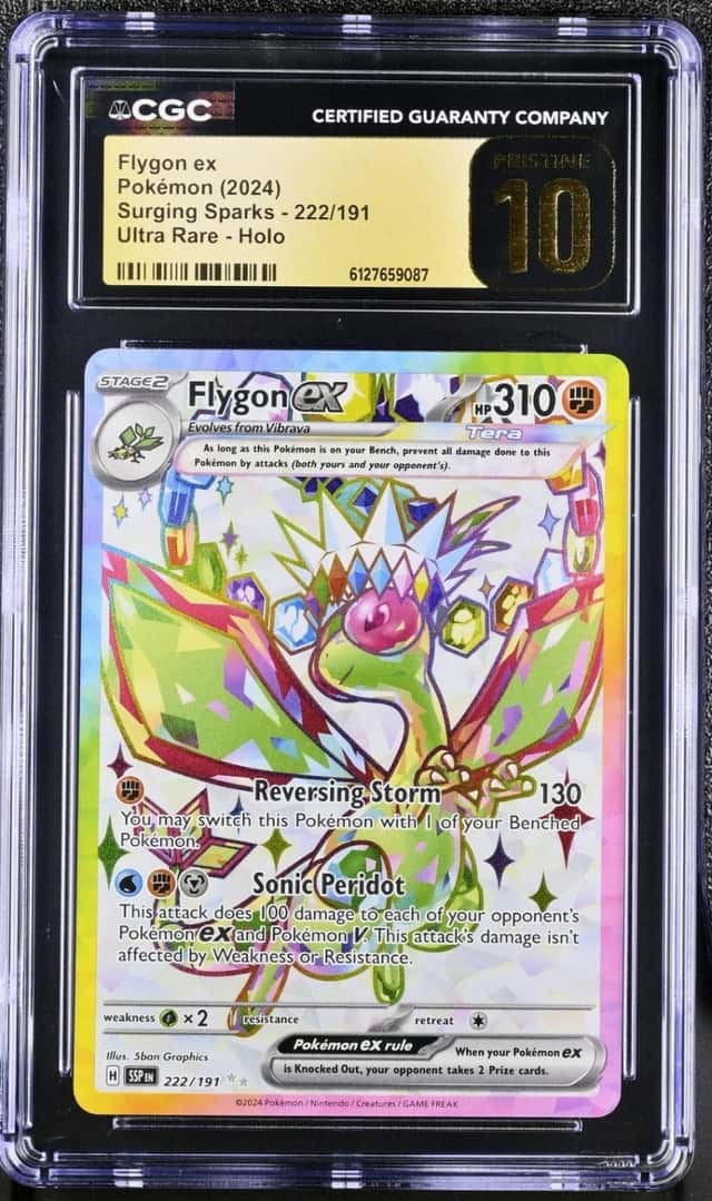 FLYGON ex