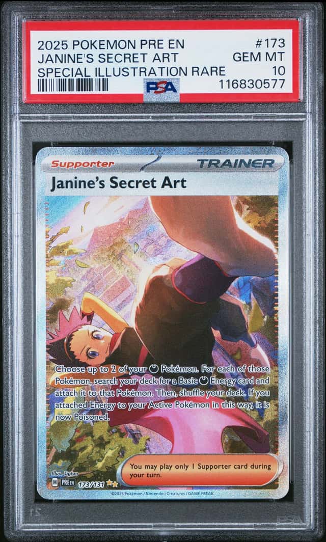 Janine's Secret Art