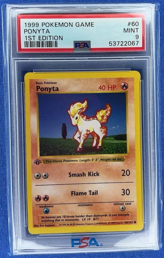 Ponyta
