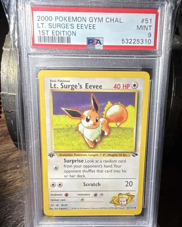 Lt. Surge's Eevee