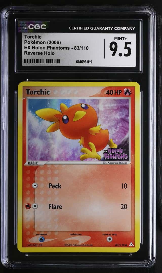 Torchic