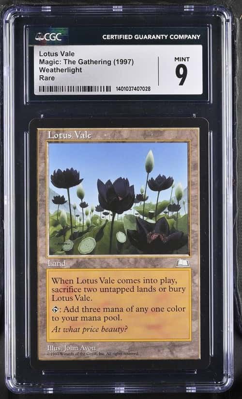 Lotus Vale