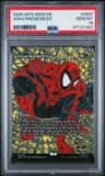 Arachnogenesis