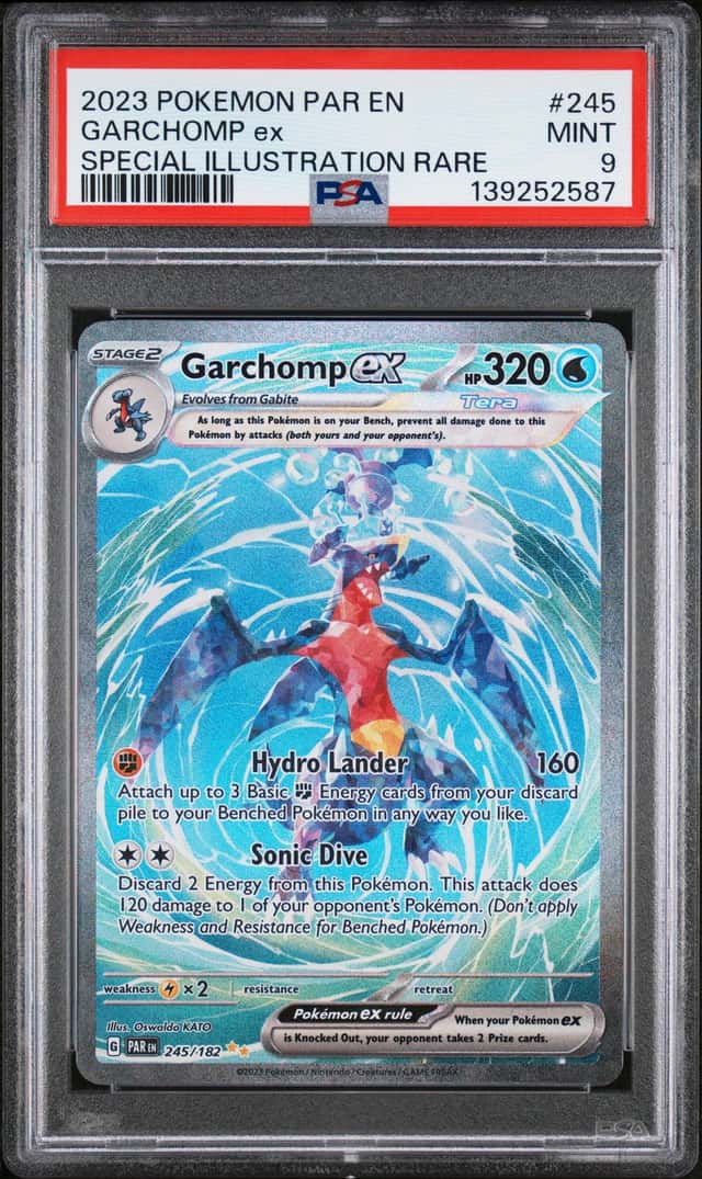 GARCHOMP ex