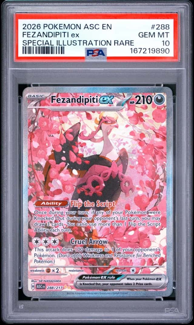FEZANDIPITI ex