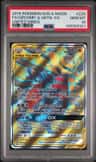 Garchomp & Giratina Gx
