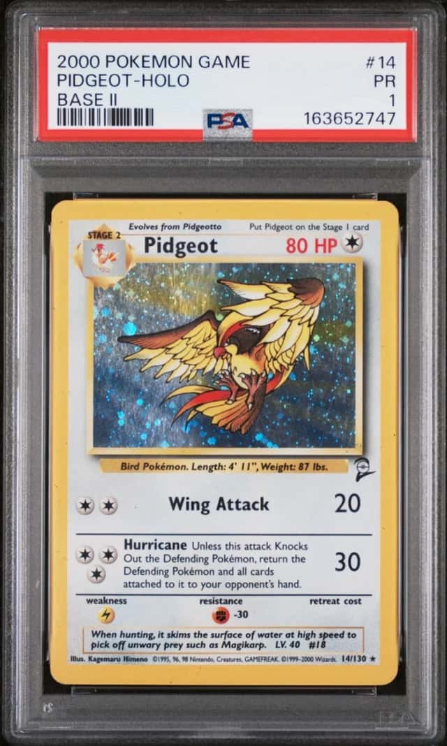 Pidgeot