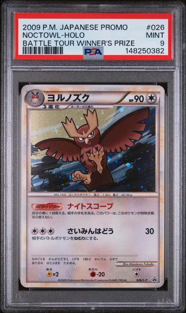 Noctowl