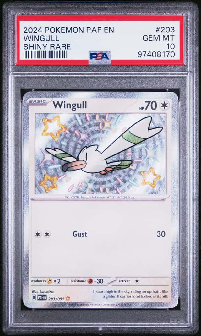 Wingull