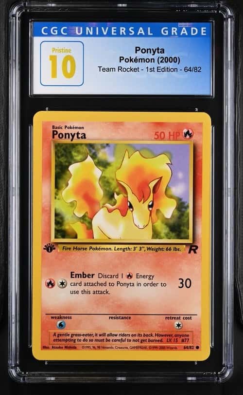 Ponyta