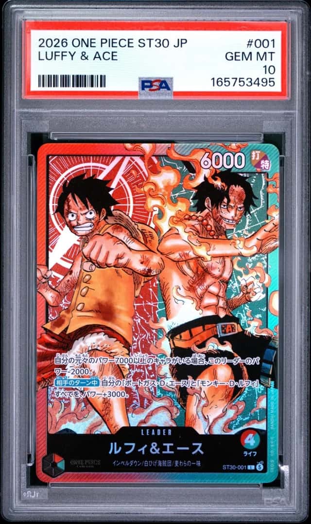 Luffy & Ace