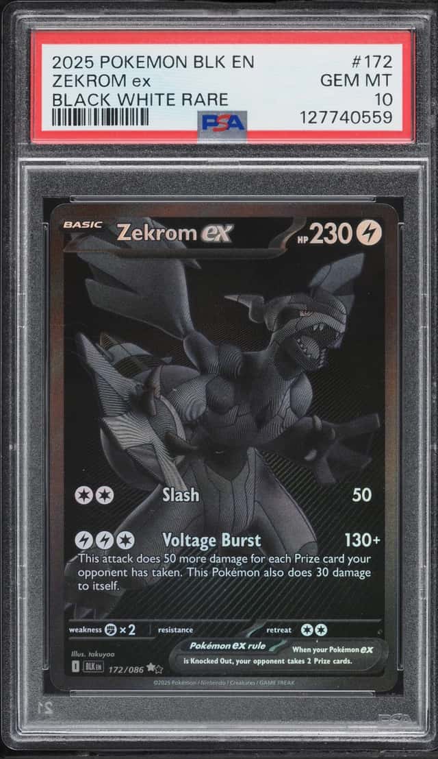 ZEKROM ex