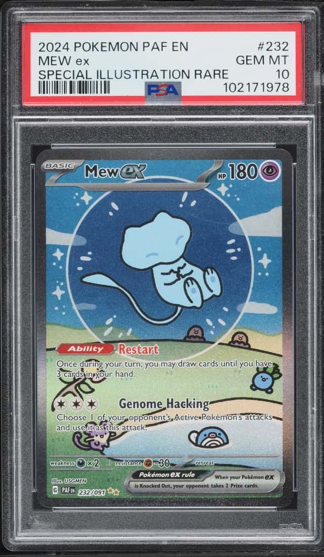 MEW ex