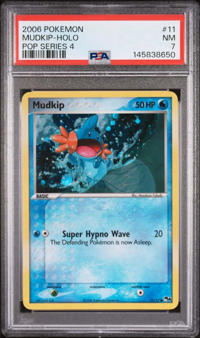 Mudkip