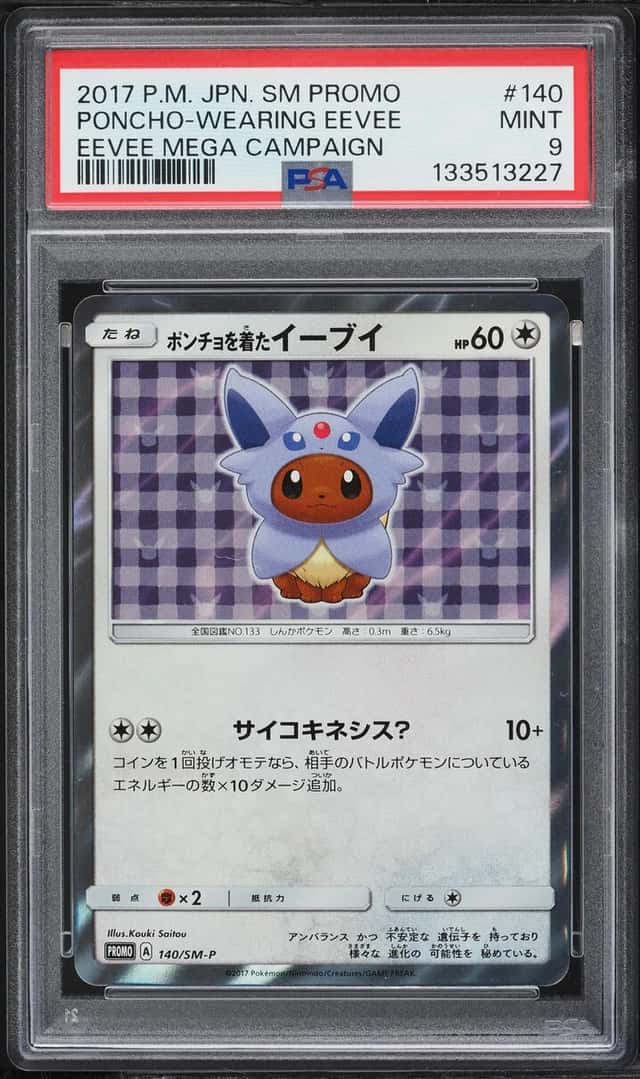 Poncho-Wearing Eevee