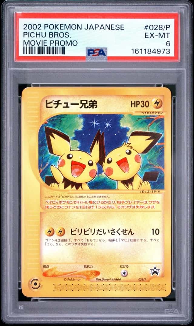 Pichu Bros
