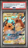 Raichu & Alolan Raichu Gx
