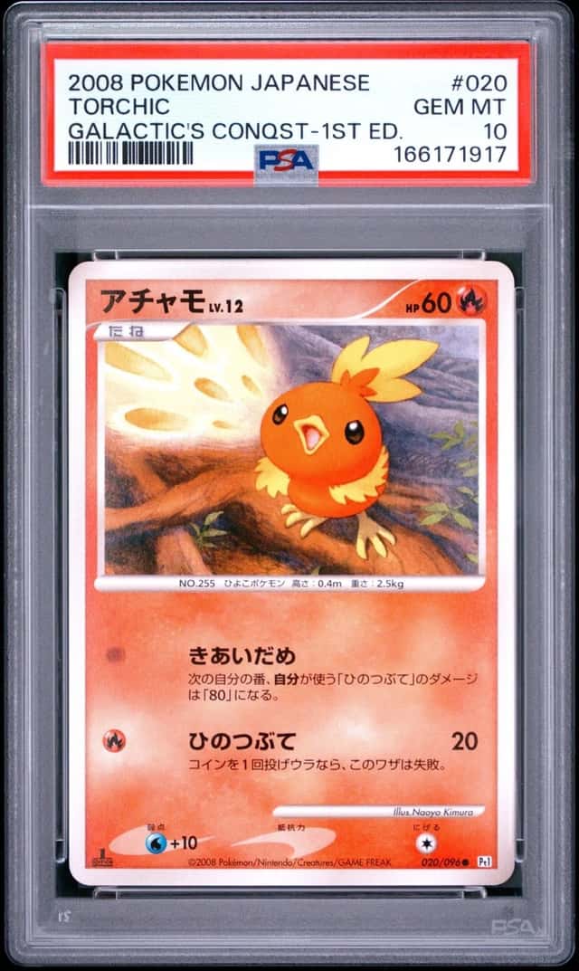 Torchic