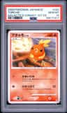 Torchic