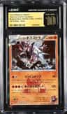 Team Magma'S Aggron