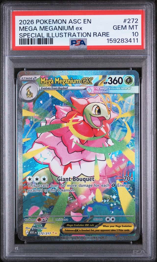 MEGA MEGANIUM ex