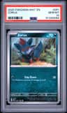 Zorua