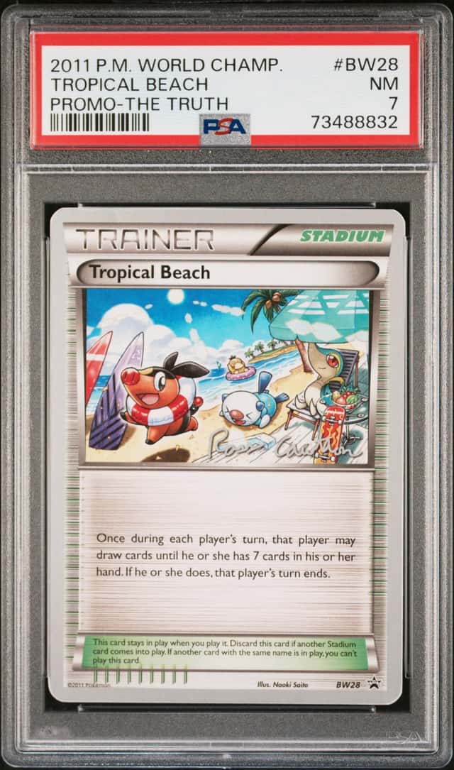 Tropical Beach