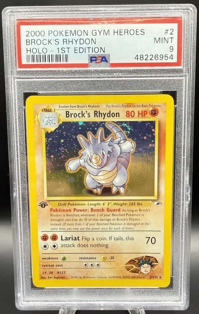 Brock's Rhydon