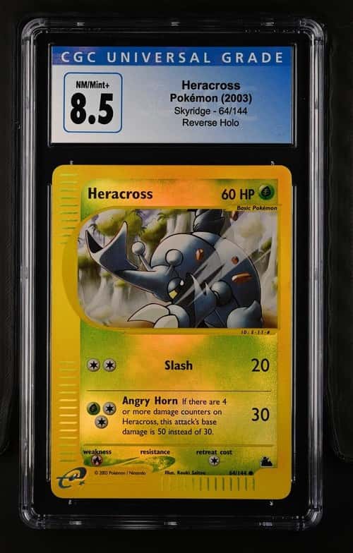 Heracross
