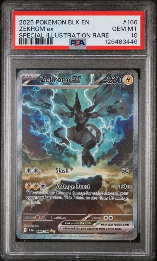 ZEKROM ex