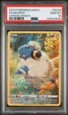 Mareep