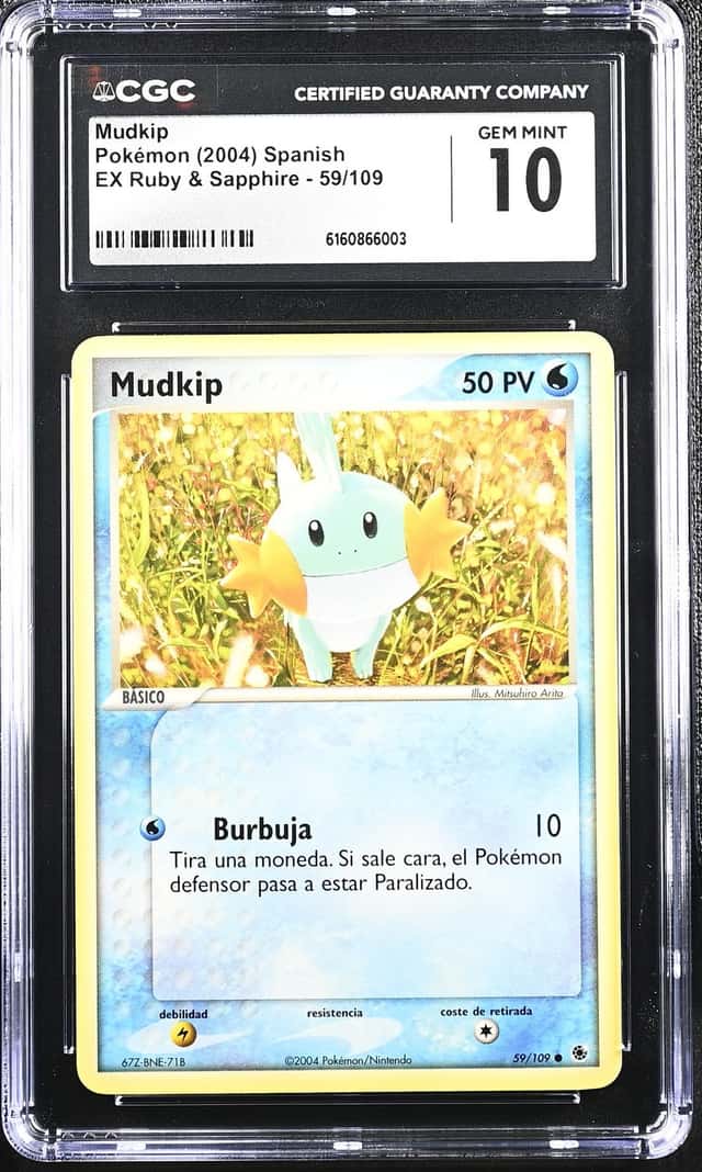 Mudkip