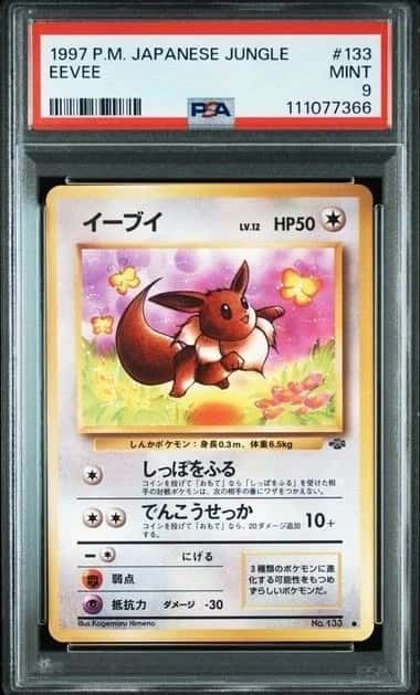 Eevee