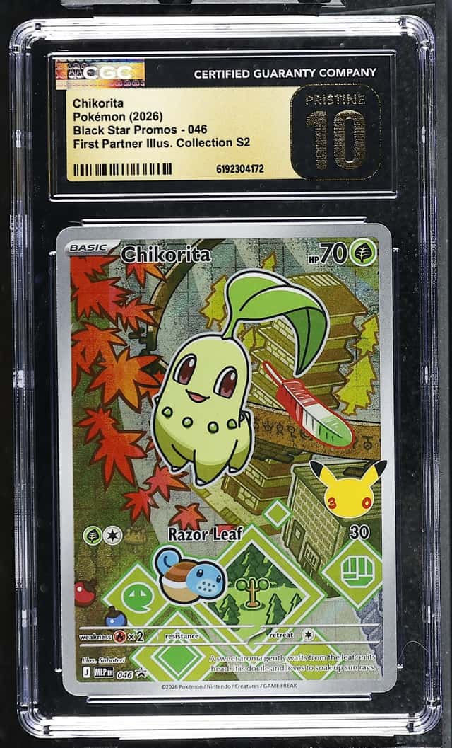Chikorita