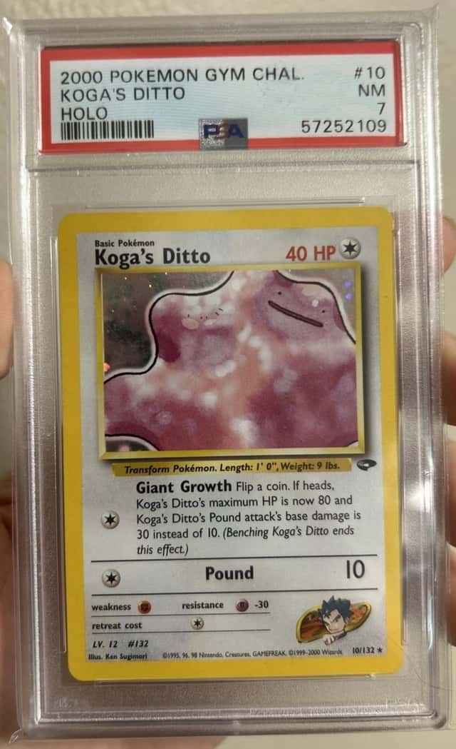 Koga's Ditto