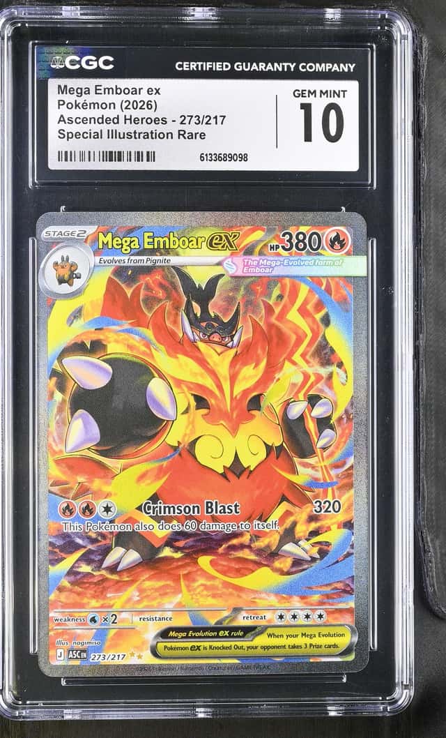 MEGA EMBOAR ex