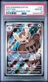 Noctowl