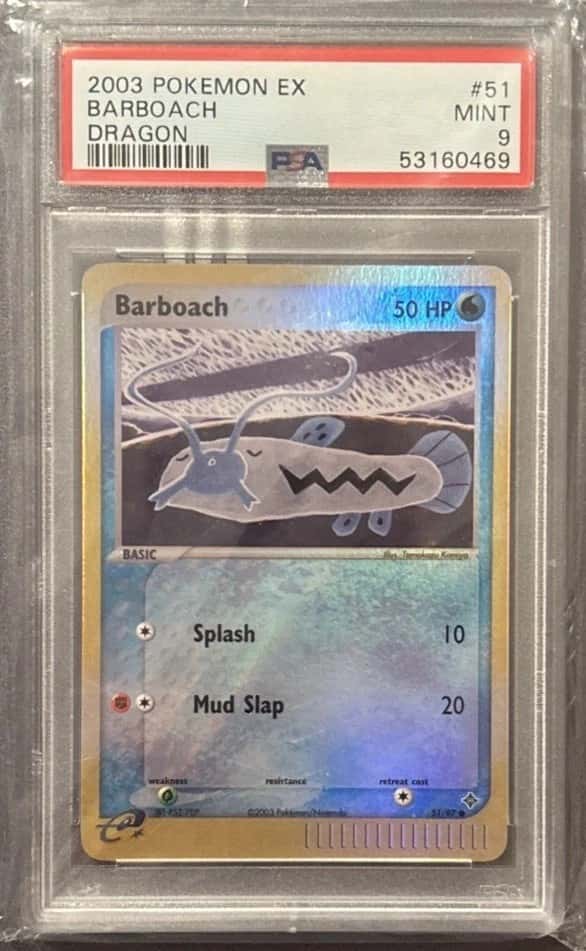 Barboach