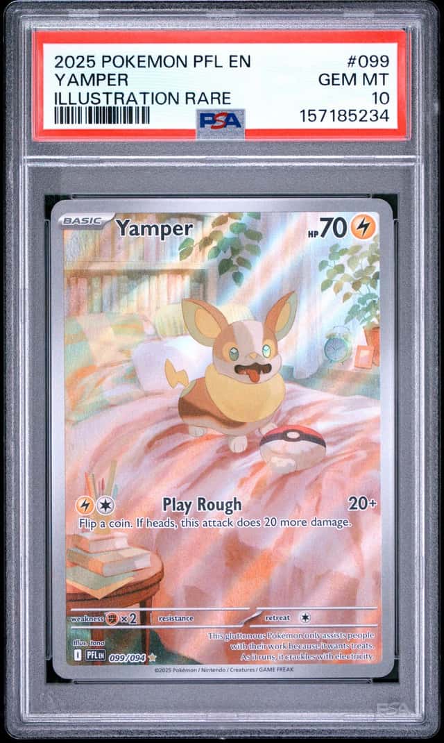 Yamper