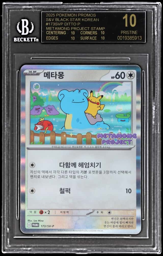 Ditto