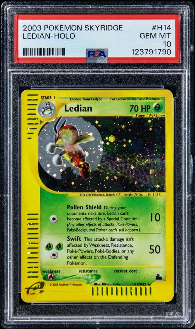 Ledian