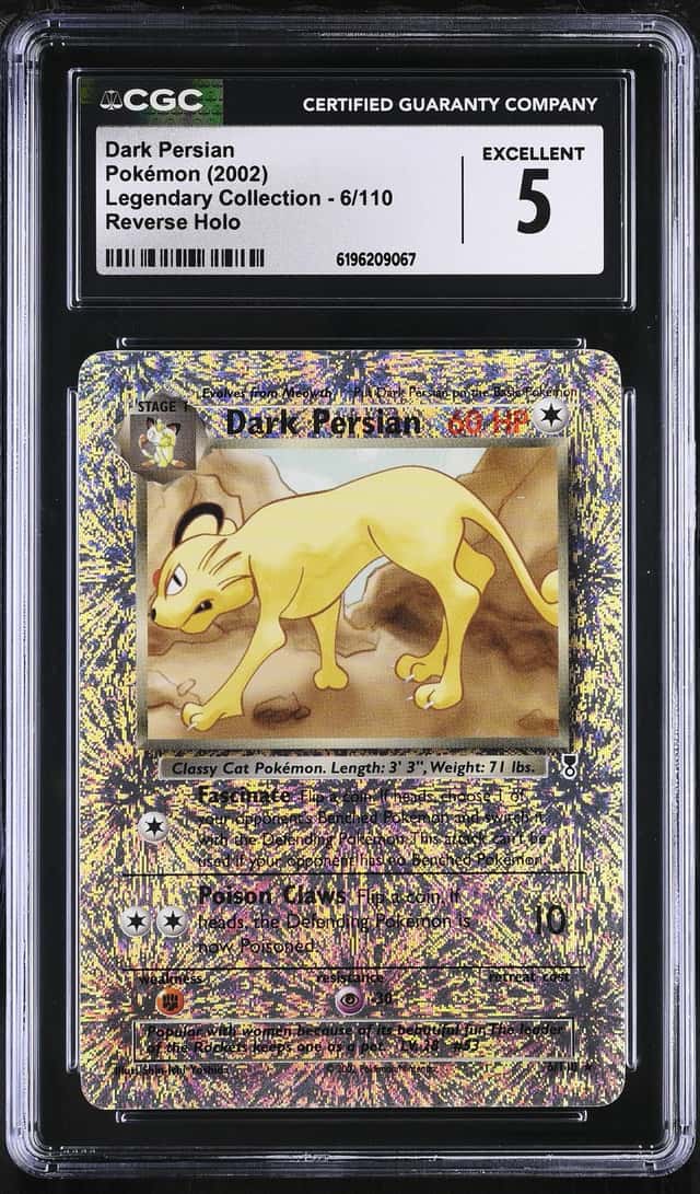 Dark Persian