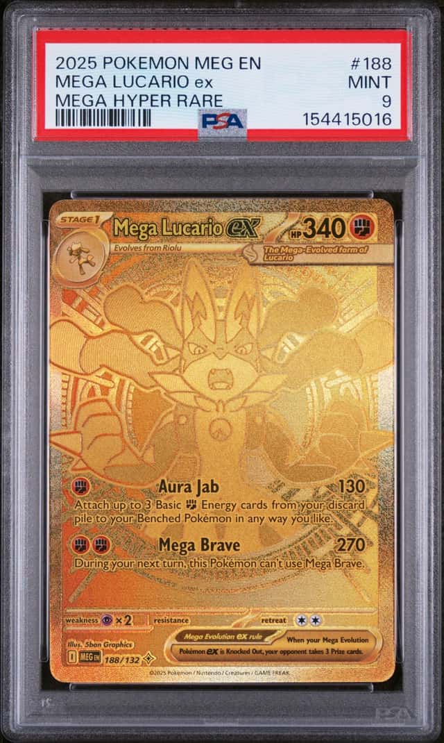 MEGA LUCARIO ex