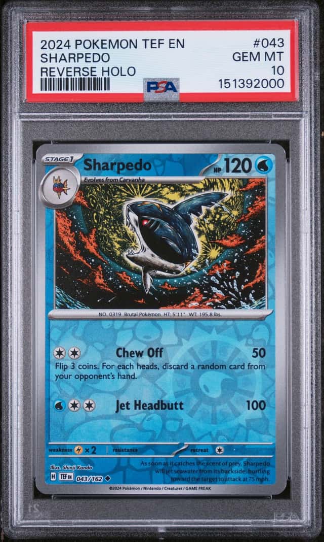 Sharpedo