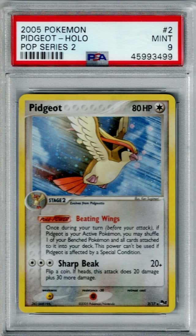 Pidgeot