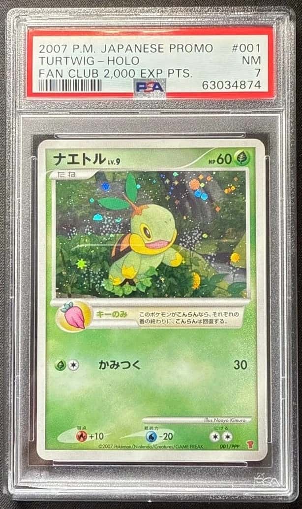 Turtwig