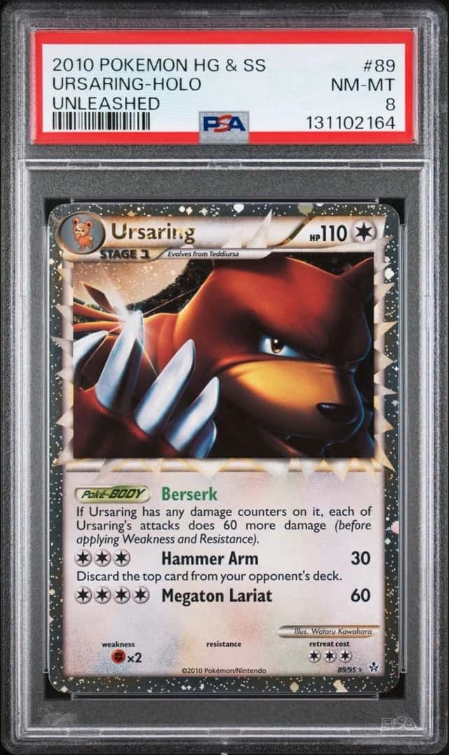 Ursaring