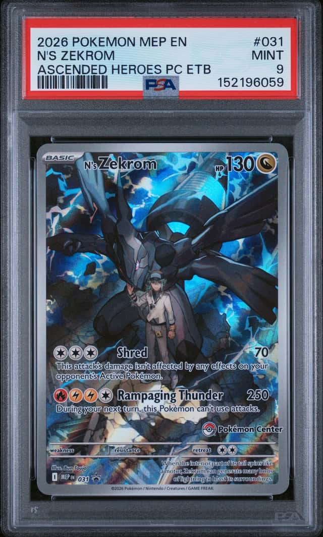 N's Zekrom