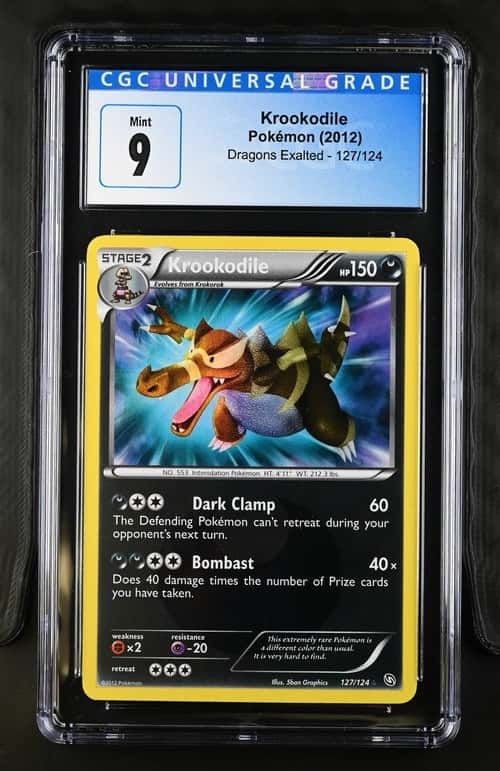 Krookodile