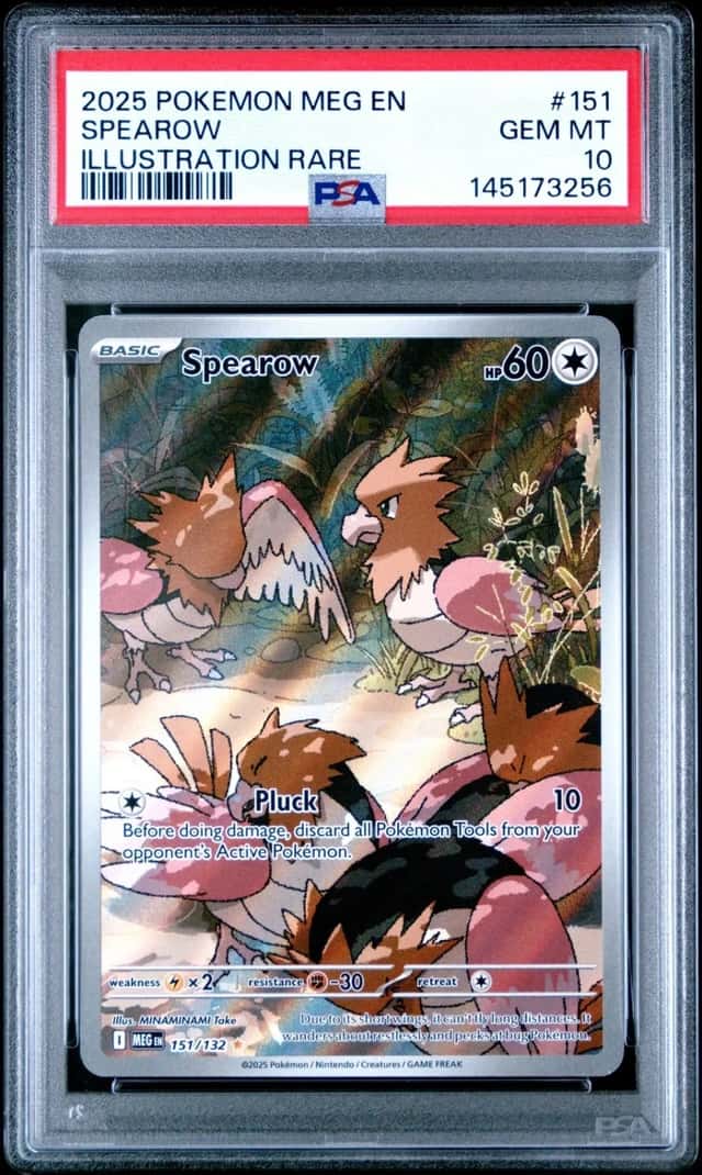 Spearow